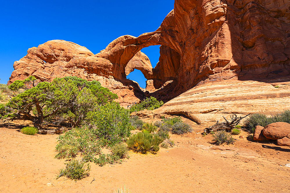 Double Arch in the Windows Section, Arches National Park, Moab, Utah, USA