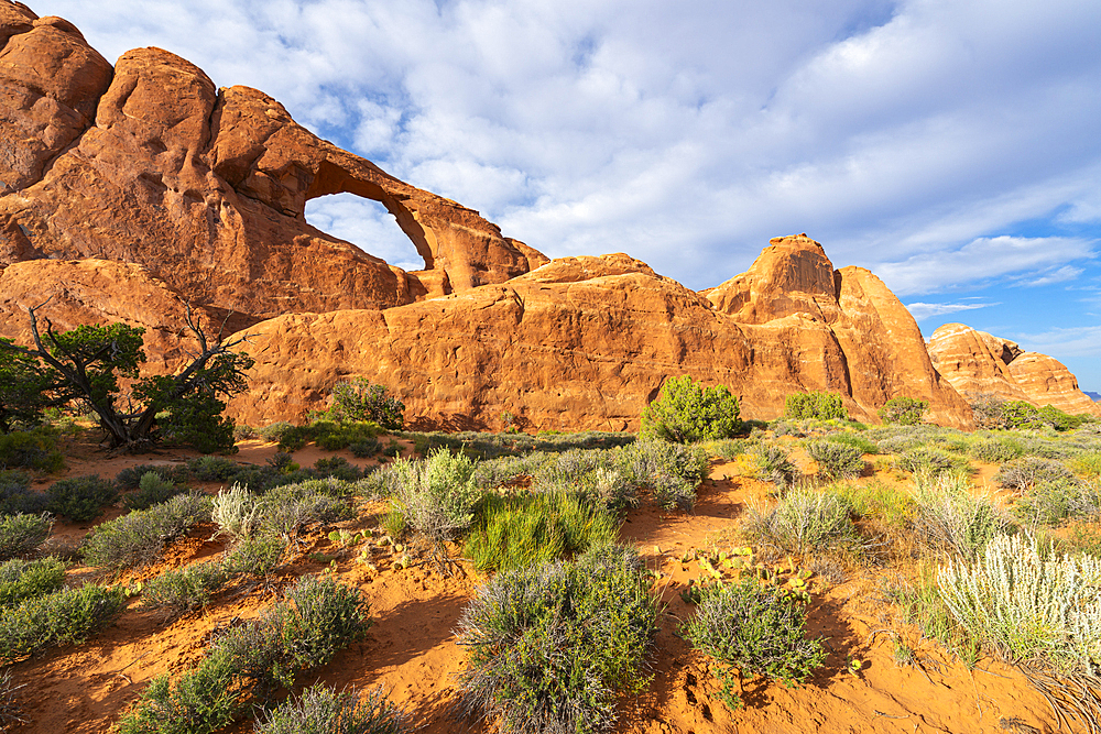 Skyline Arch, Arches National Park, Moab, Utah, United States of America, North America