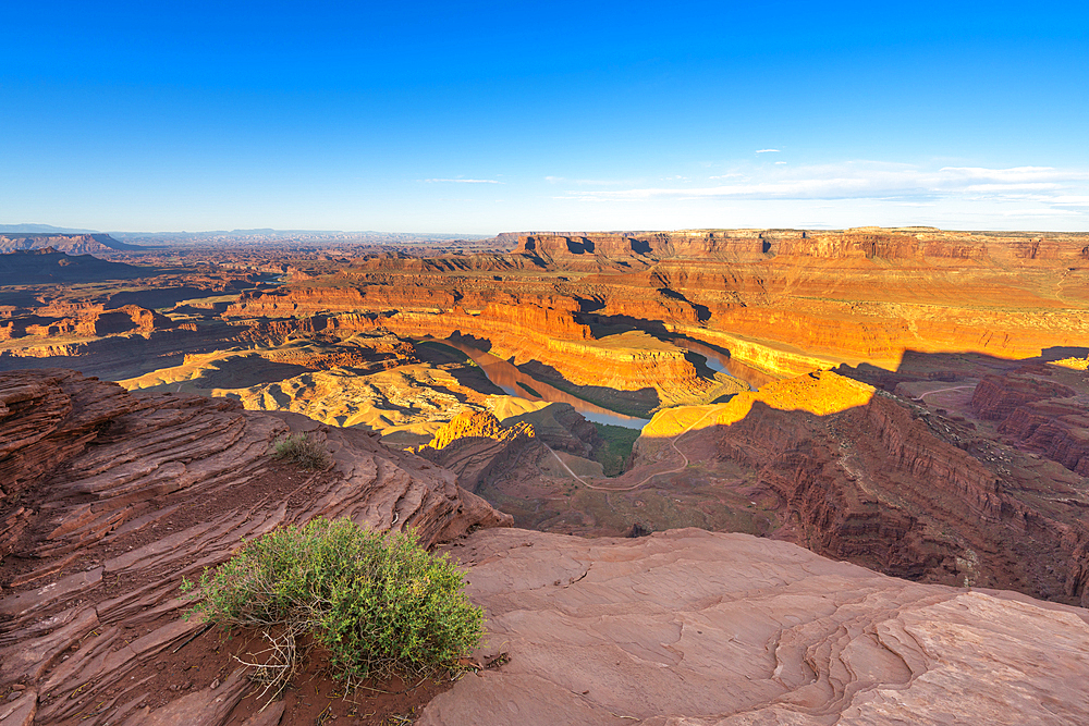 Bend of Colorado River at Dead Horse Point at sunrise, Dead Horse Point State Park, Utah, United States of America, North America