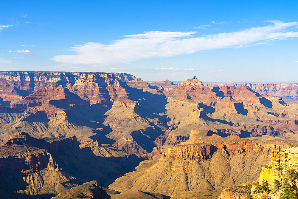 Grand Canyon, near Duck on a rock viewpoint, Grand Canyon National Park, Arizona, USA