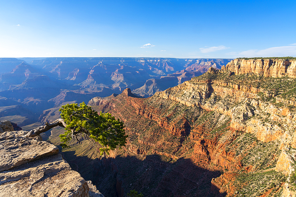 Grand Canyon, Pipe Creek Vista, Grand Canyon National Park, UNESCO World Heritage Site, Arizona, United States of America, North America