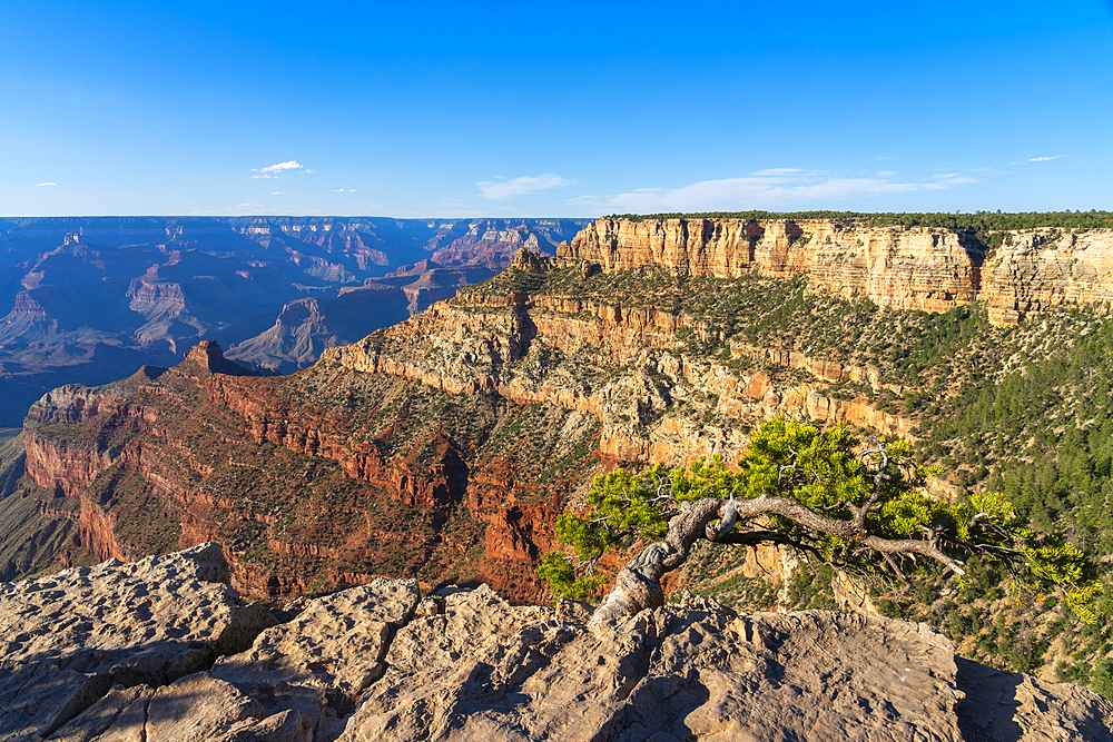 Grand Canyon, Pipe Creek Vista, Grand Canyon National Park, UNESCO World Heritage Site, Arizona, United States of America, North America