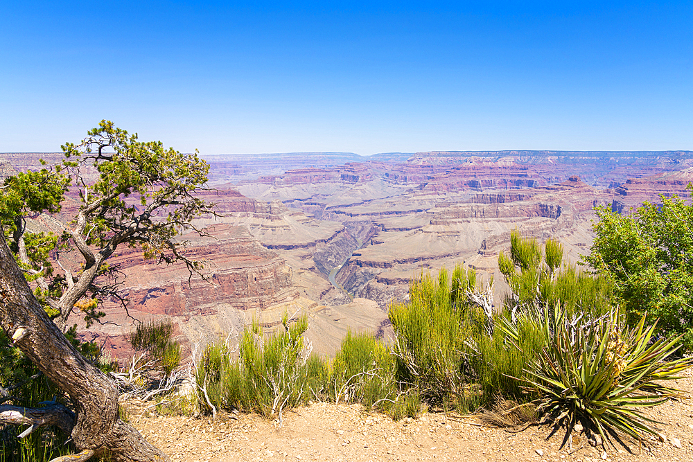 Grand Canyon, Pima Point, Grand Canyon National Park, UNESCO World Heritage Site, Arizona, United States of America, North America