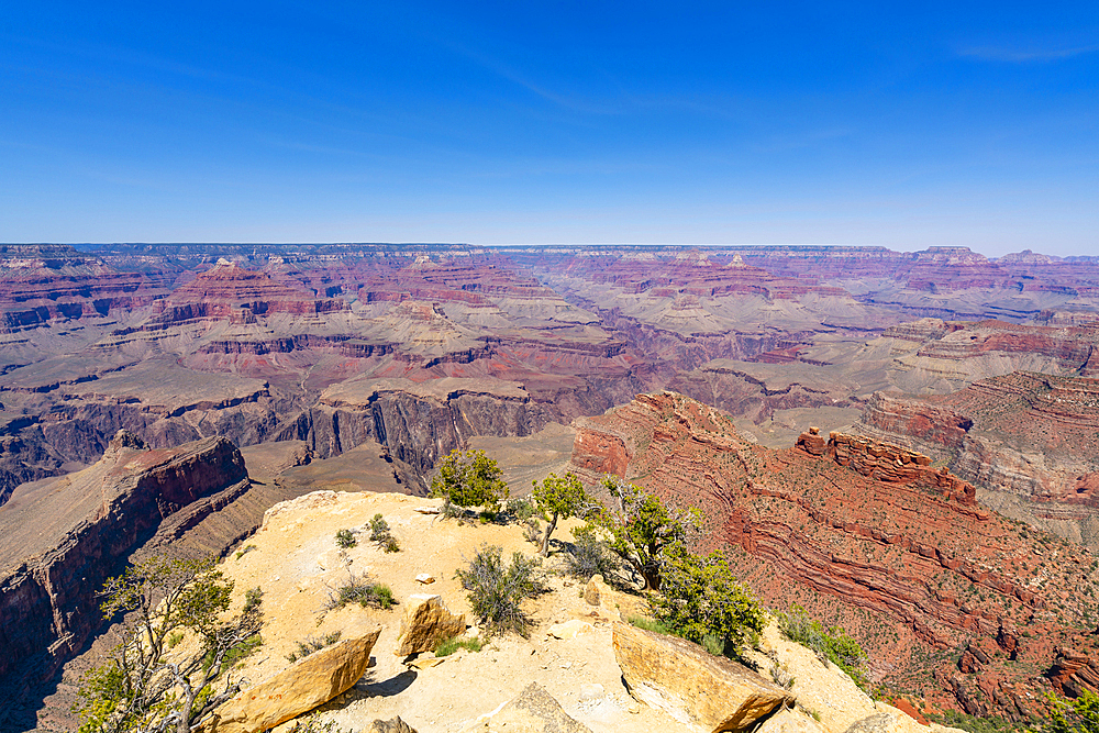 Grand Canyon, Powell Point, Grand Canyon National Park, UNESCO World Heritage Site, Arizona, United States of America, North America