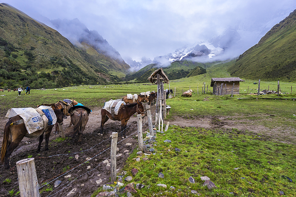 Soraypampa camping area, Salkantay trek, Mollepata, The Andes, Cusco, Peru, South America