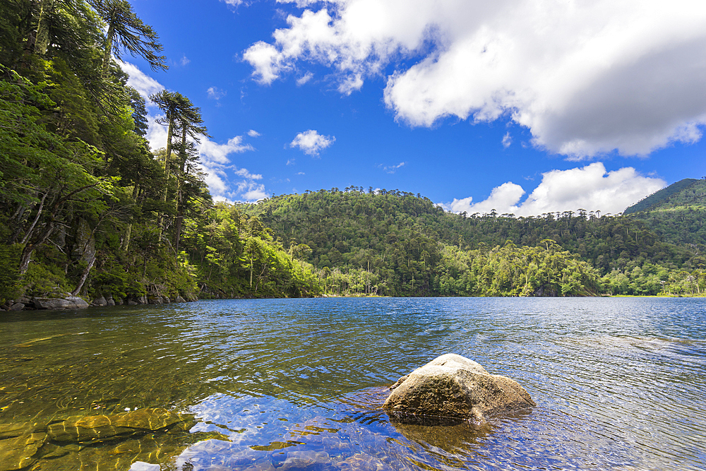 El Toro Lake, Huerquehue National Park, Pucon, Chile, South America