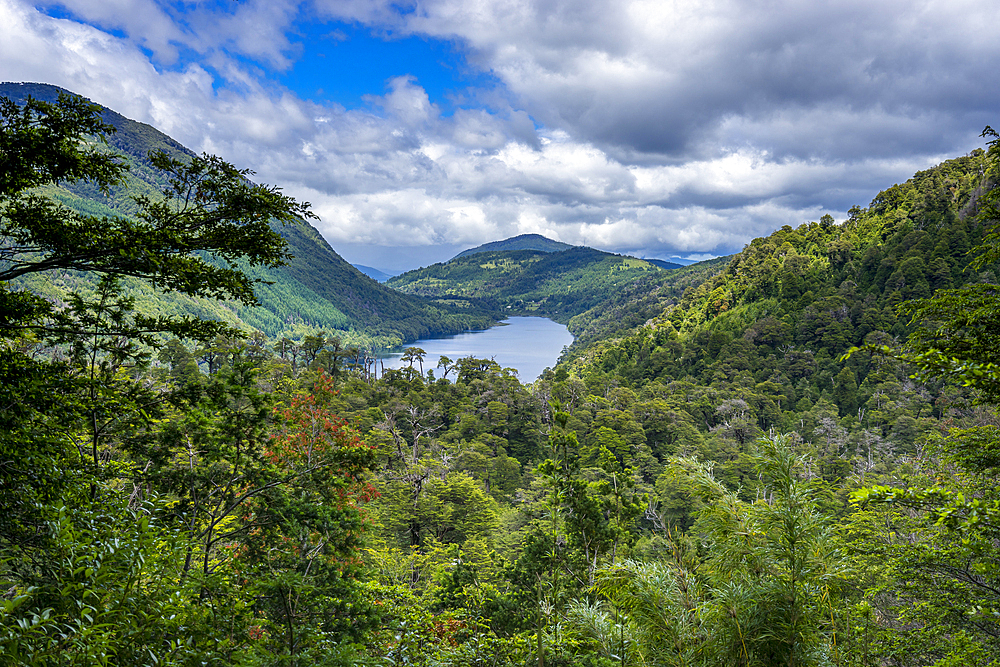 Tinquilco lake, Huerquehue National Park, Pucon, Chile, South America