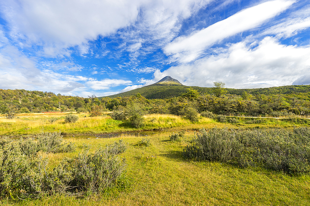 Cerro Condor, Tierra del Fuego National Park, Patagonia, Argentina, South America