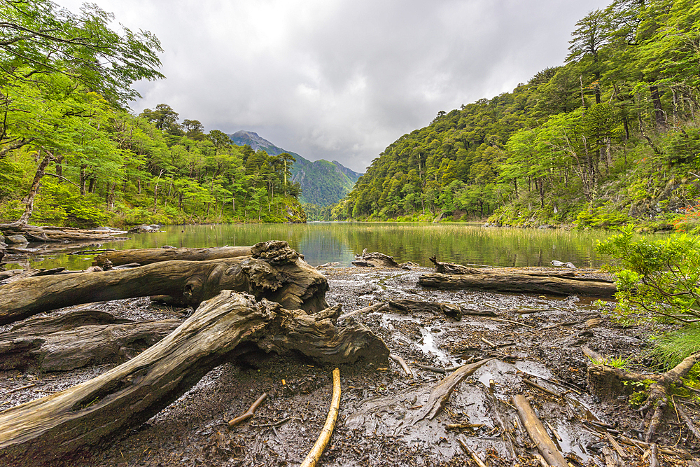 El Toro Lake, Huerquehue National Park, Pucon, Chile, South America