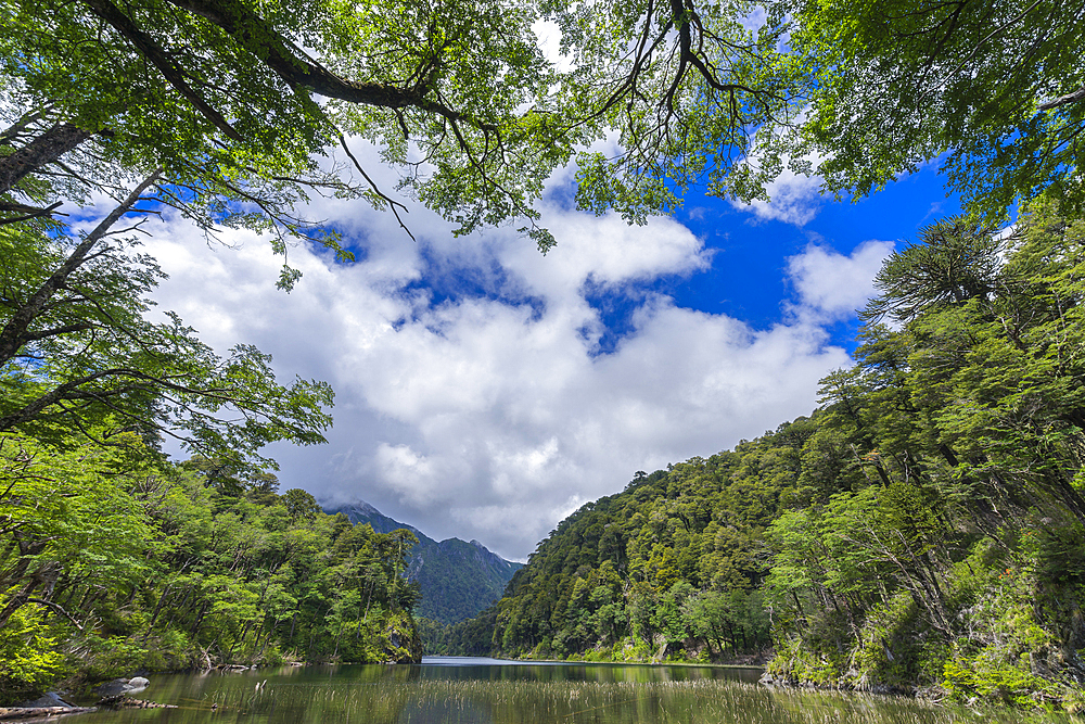 El Toro Lake, Huerquehue National Park, Pucon, Chile, South America