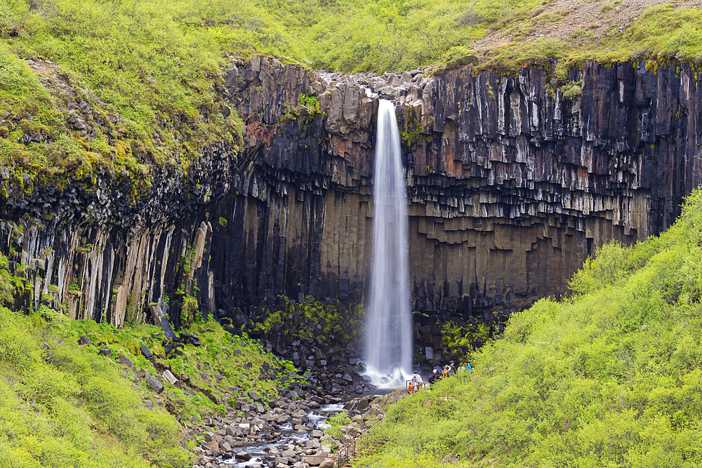 Svartifoss waterfall, Skaftafell National Park, Iceland, Polar Regions