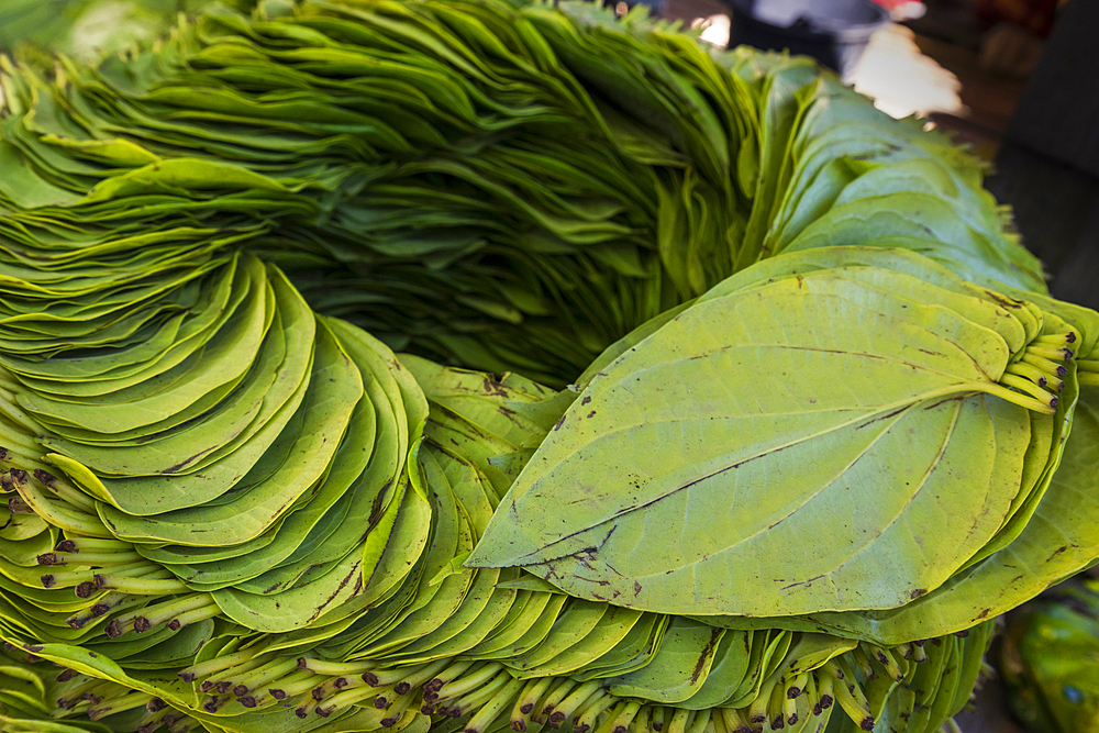 Betel leaves organized in circle that Burmese use for chewing, Inn Thein market, Lake Inle, Shan State, Myanmar (Burma), Asia