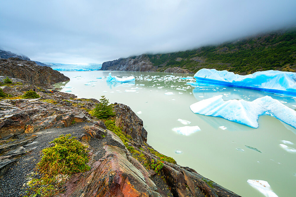 Lago Grey with icebergs, Torres del Paine National Park, Patagonia, Chile, South America