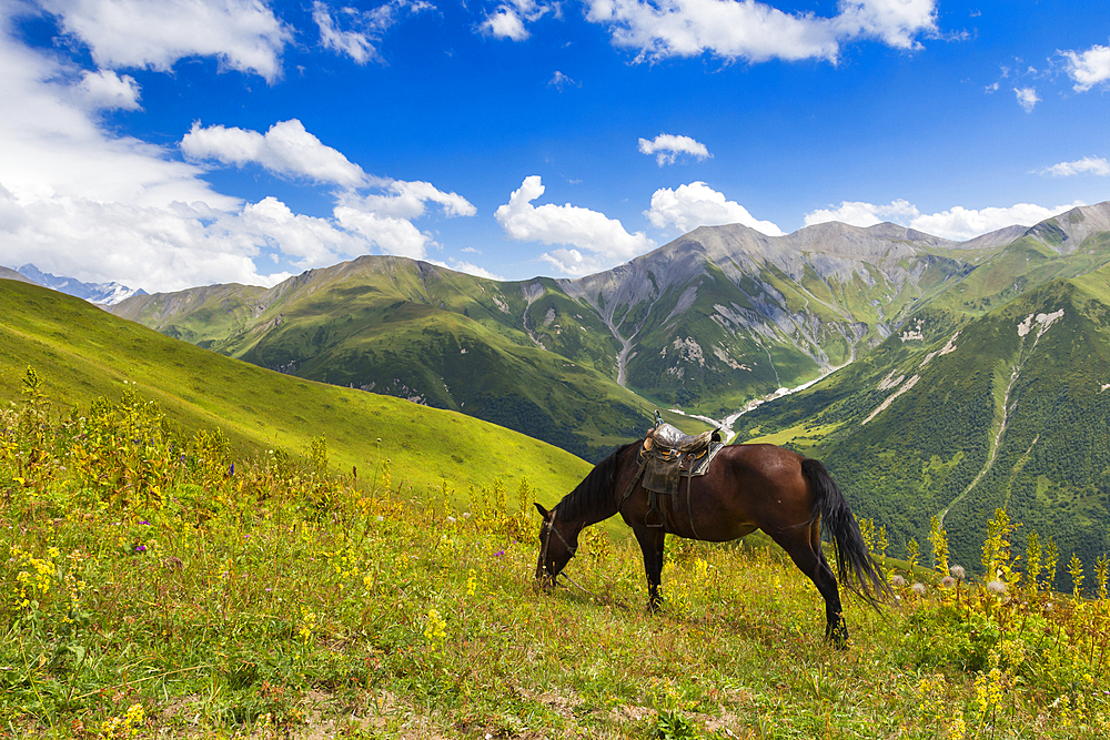 Horse grazing with Khaldechala River Valley and Caucasian mountains in background, Svaneti mountains, Georgia, Central Asia, Asia