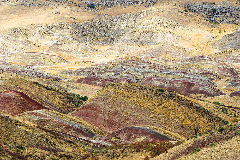 Scenic colorful landscape near David Gareji complex, Georgia, Central Asia, Asia