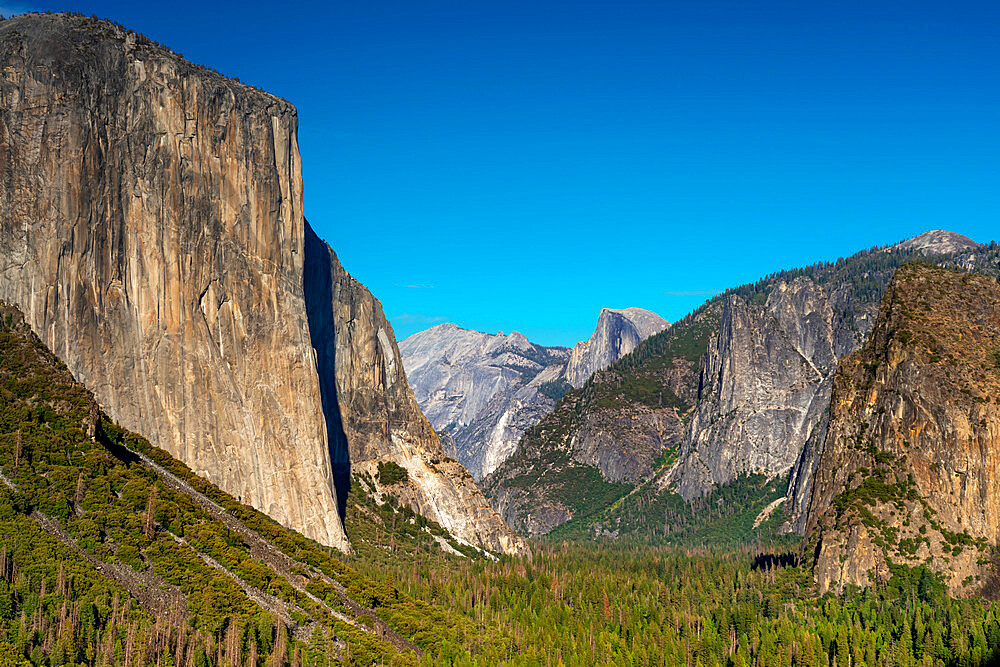 Popular Tunnel view vista of Yosemite Valley, El Capitan and Half Dome granite rock formations, Yosemite National Park, California, USA