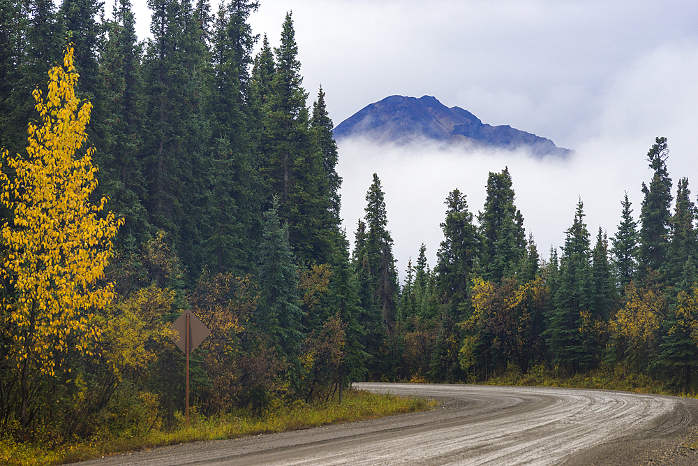 Mountain rising above low-hanging clouds at Denali Parks Highway in autumn, near Teklanika River Campground, Denali National Park, Alaska, United States of America, North America