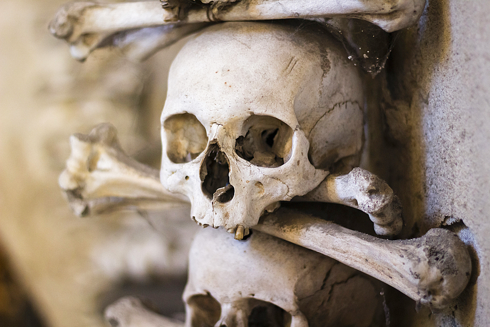 Decoration made of human skulls and bones, interior of Sedlec Ossuary, UNESCO World Heritage Site, Kutna Hora, Czech Republic (Czechia), Europe