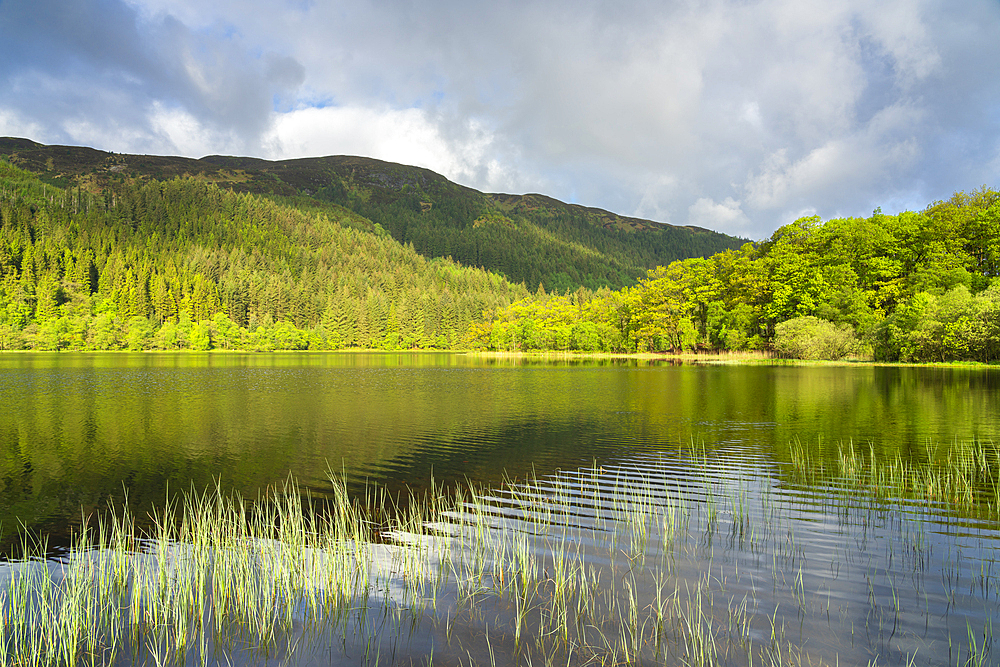 Loch Chon, Loch Lomond and The Trossachs National Park, Scottish Highlands, Scotland, United Kingdom, Europe