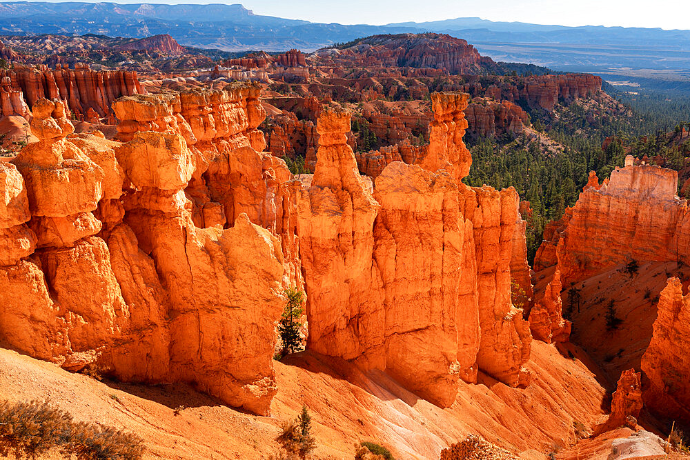 Popular rock formation (hoodoo) named Thor's Hammer taken from Navajo Loop Trail, Bryce Canyon National Park, Utah, USA