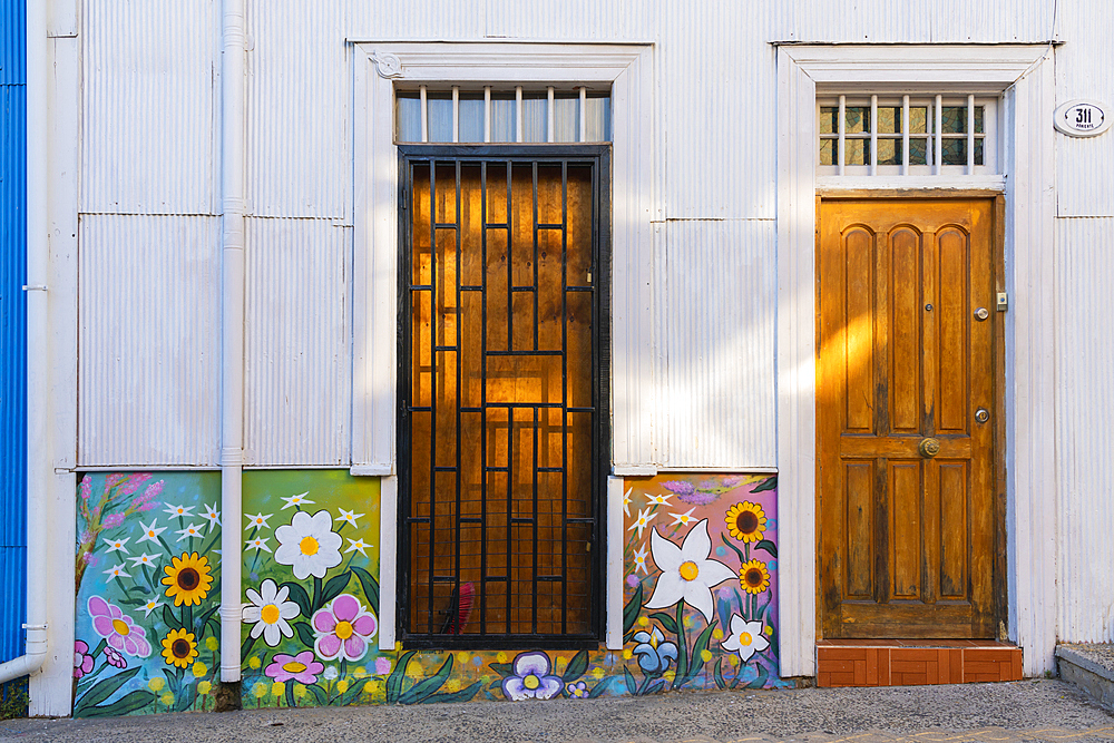 Painted mural with colorful flowers, Cerro Bellavista, Valparaiso, Valparaiso Province, Valparaiso Region, Chile, South America