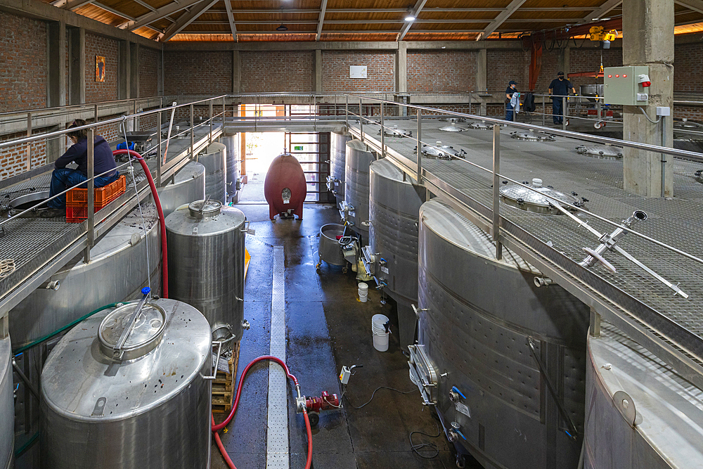 Fermentation tanks, El Principal winery, Pirque, Maipo Valley, Cordillera Province, Santiago Metropolitan Region, Chile, South America