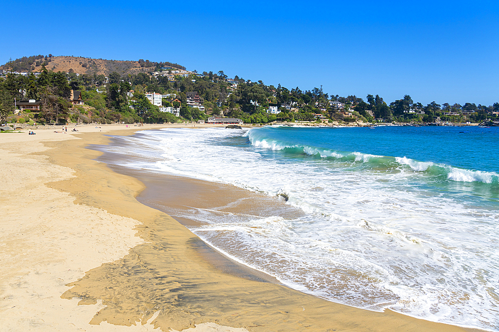 Zapallar beach, Zapallar, Petorca Province, Valparaiso Region, Chile, South America