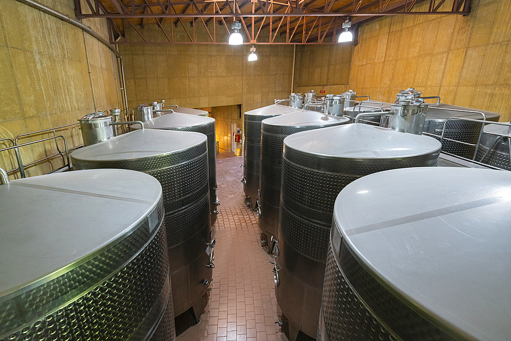 Fermentation tanks, Haras de Pirque winery, Pirque, Maipo Valley, Cordillera Province, Santiago Metropolitan Region, Chile, South America