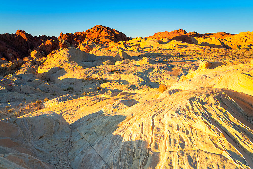 Red and white rock formations at Fire Canyon and Silica Dome at sunrise, Valley of Fire State Park, Nevada, Western United States, USA