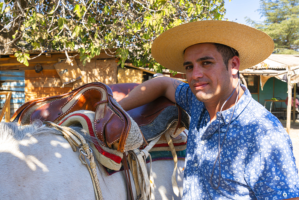 Young Chilean horseman (huaso) preparing white horse at ranch, Colina, Chacabuco Province, Santiago Metropolitan Region, Chile, South America