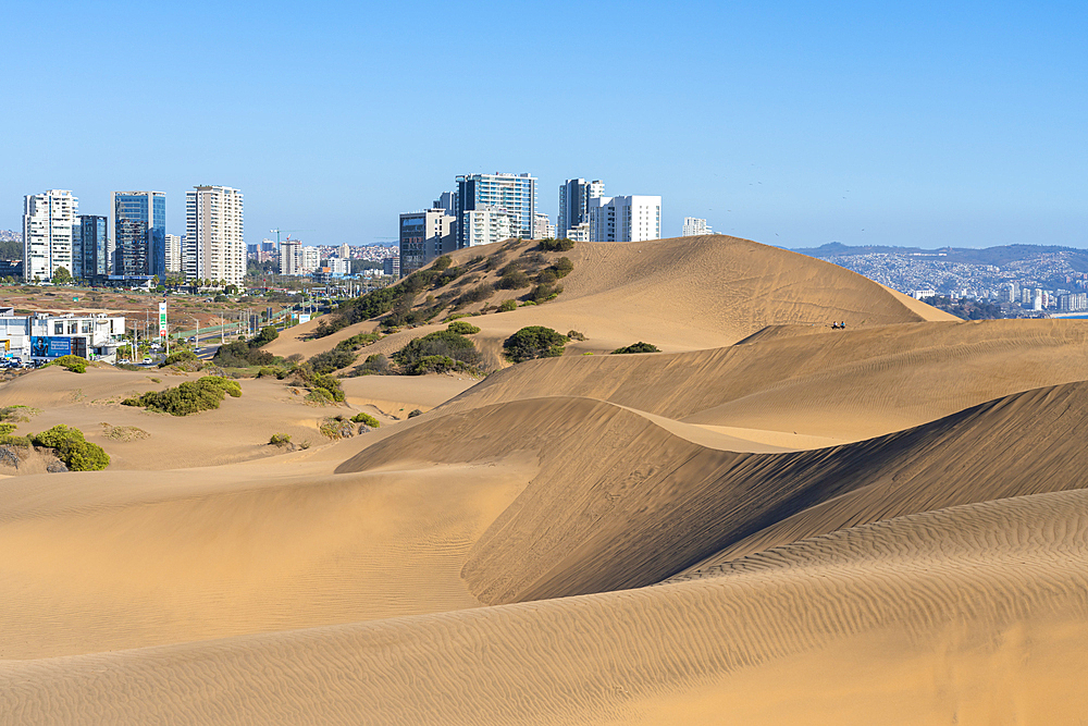 Sand dunes and residential high-rise buildings, Concon, Valparaiso Province, Valparaiso Region, Chile, South America