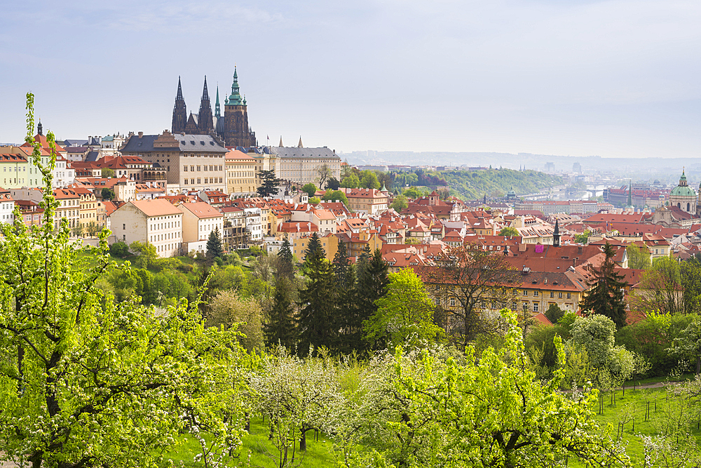 Prague Castle and Patrin Gardens in spring, Prague, Bohemia, Czech Republic (Czechia), Europe