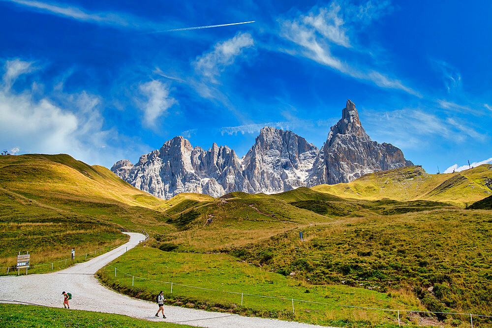 Pale di San Martino, Paneveggio Natural Park, Passo Rolle, Dolomites, Trentino, Italy, Europe