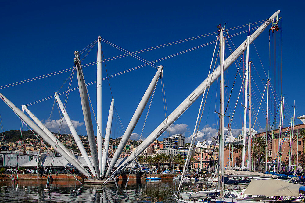 Ancient harbor, Genoa, Liguria, Italy, Europe