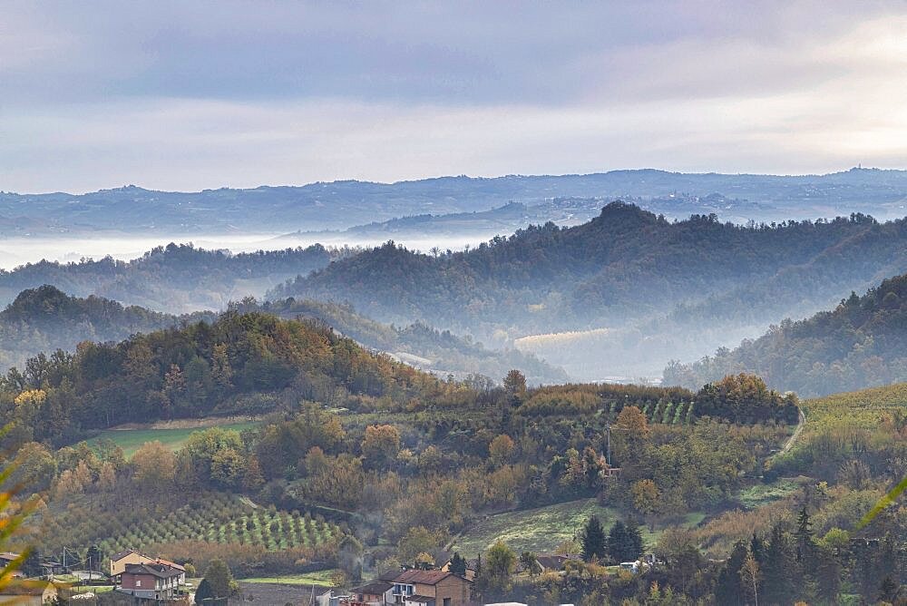 Hills and vineyards of the Langhe (UNESCO Heritage) in an autumn day. Alba, Langhe, Cuneo district, Piedmont, Italy.