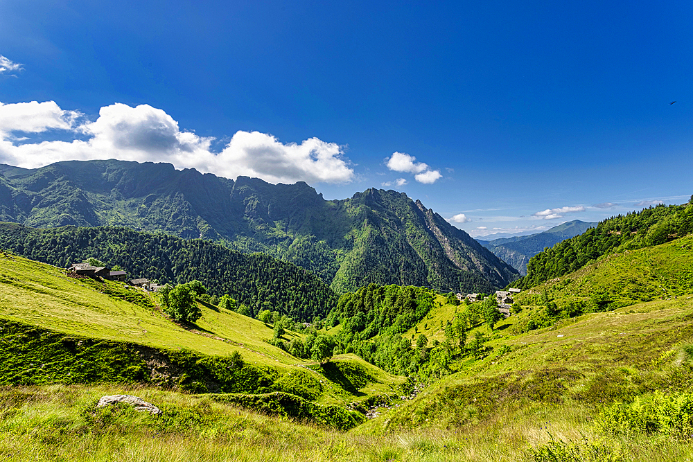 The bucolic landscape of Val Mastellone in summer, Rimella, Valsesia, Vercelli district, Piedmont, Italy, Europe