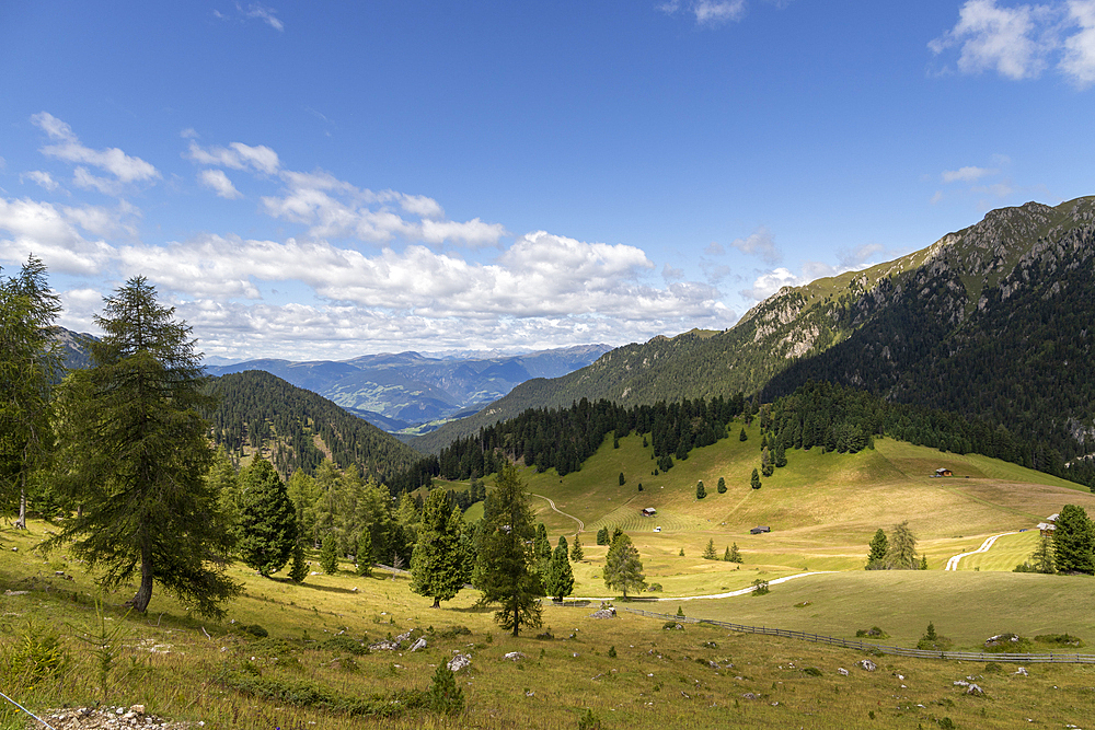 Natural Park Puez-Odle, Val di Funes, Bolzano district, Sudtirol (South Tyrol), Italy, Europe