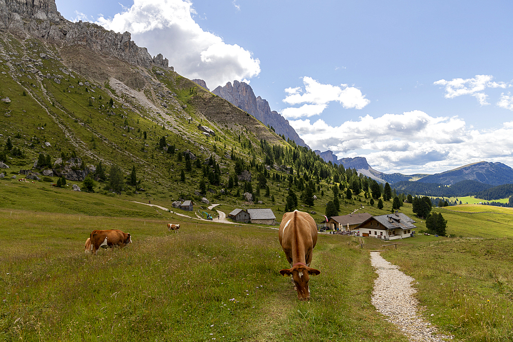 Natural Park Puez-Odle, Val di Funes, Bolzano district, Sudtirol (South Tyrol), Italy, Europe