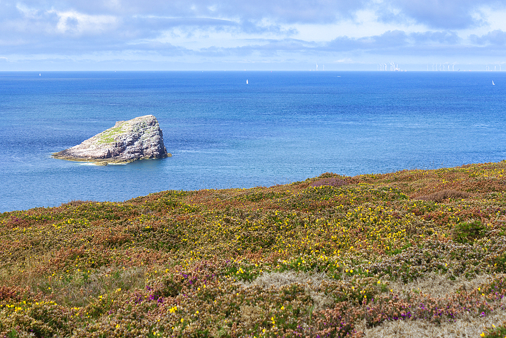 Cap Frehel, Plevenon, Cotes-d'Armor, Brittany, France, Europe