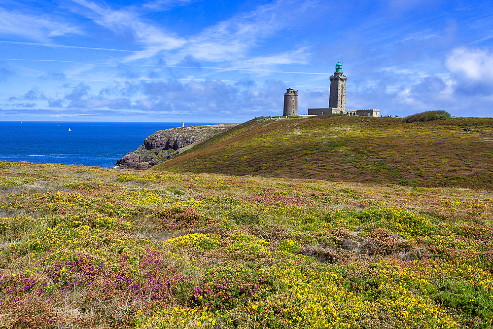 Cap Frehel, Plevenon, Cotes-d'Armor, Brittany, France, Europe