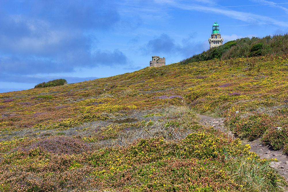 Cap Frehel, Plevenon, Cotes-d'Armor, Brittany, France, Europe