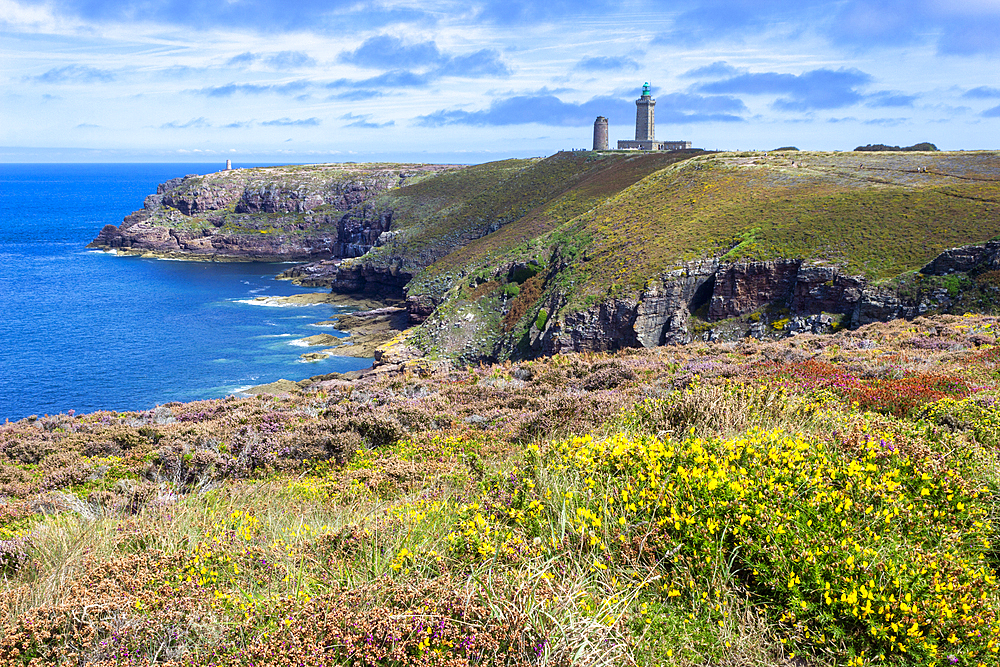 Cap Frehel, Plevenon, Cotes-d'Armor, Brittany, France, Europe