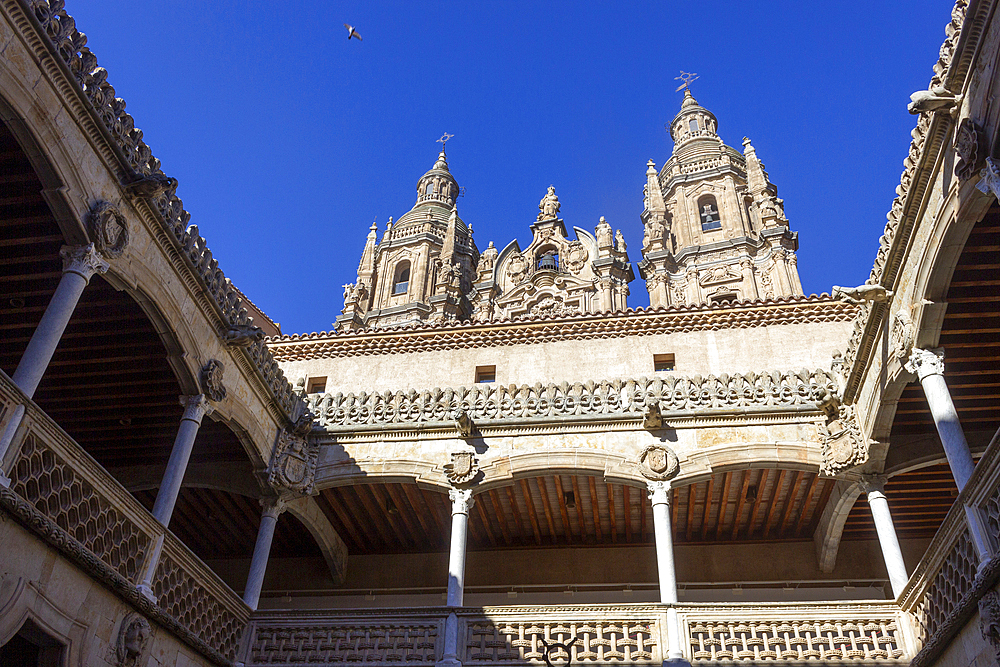 Casa de las Conchas, Salamanca, Castile and León, Spain