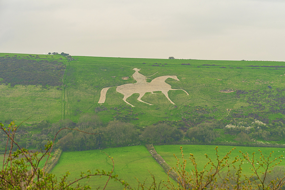 The famous hill figure cut into limestone of the White Horse of Osmington Hill, Weymouth, Dorset, England, United Kingdom, Europe