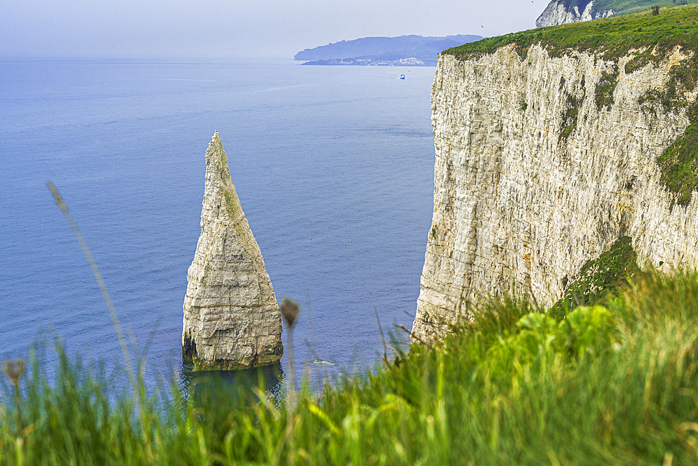 Pinnacle of rock off the Jurassic Coast, Old Harry Rocks, UNESCO World Heritage Site, Studland, Dorset, England, United Kingdom, Europe