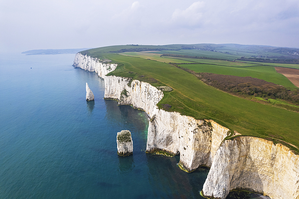 Aerial view of the white cliffs of Old Harry Rocks, Jurassic Coast, UNESCO World Heritage Site, Studland, Dorset, England, United Kingdom, Europe