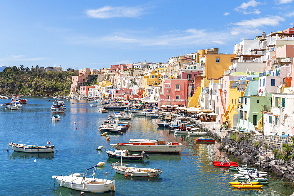 Colourful houses and boats at Marina Corricella, Procida island, Naples bay, Naples province, Phlegraean islands, Campania region, Italy, Europe