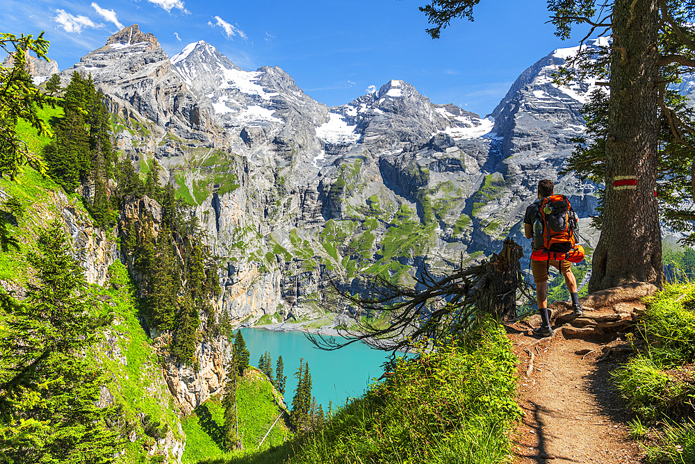 Rear view of a hiker standing on the trail in the wood surrounding Oeschinensee lake, Oeschinensee, Kandersteg, Bern Canton, Switzerland, Europe