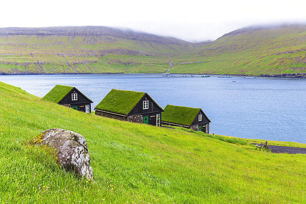 Houses with turf roofs, Bour village, Vagar island, Faroe islands, Denmark, Europe