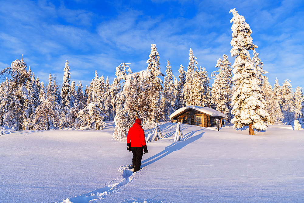 Person stands in front of an isolated mountain hut among trees covered with snow, Swedish Lapland, Norrbotten, Sweden, Scandinavia, Europe